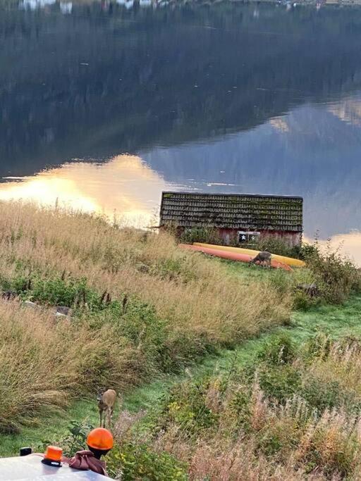 Sjarmerende Anneks I Sigerfjord, Vesteralen 소르틀란 외부 사진